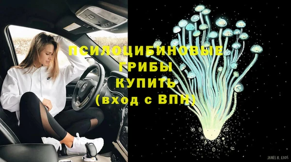 стафф Кинешма