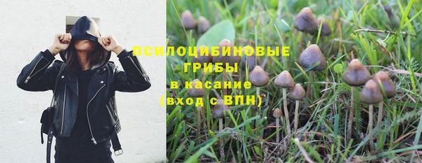 прущий лед Кодинск
