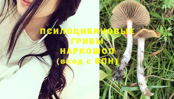 прущие грибы Бутурлиновка