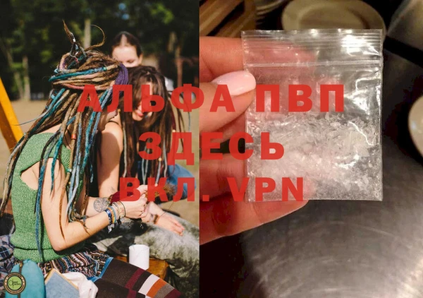 прущие грибы Бутурлиновка