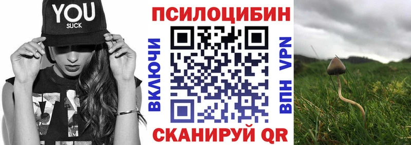 Псилоцибиновые грибы ЛСД  shop официальный сайт  Котово 